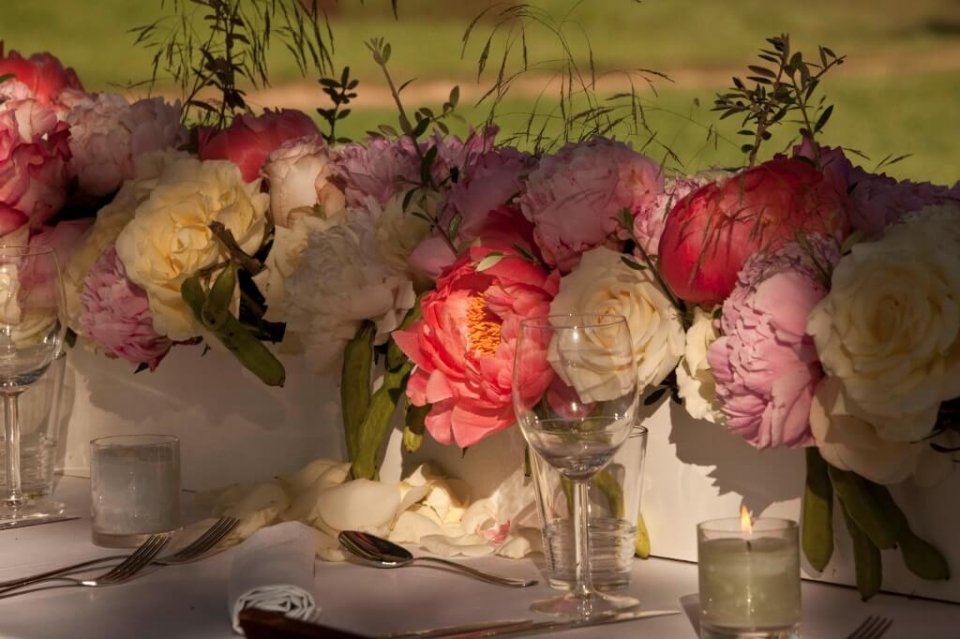 Wedding The Wunderkammer