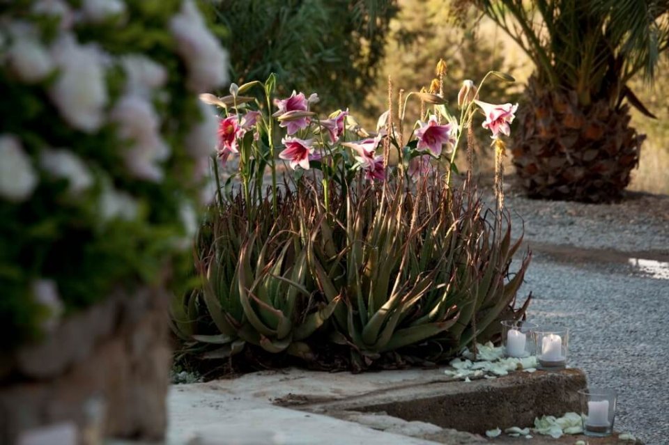 Wedding The Wunderkammer